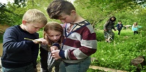Børn i skoven og link til siden Lokaletilskud
